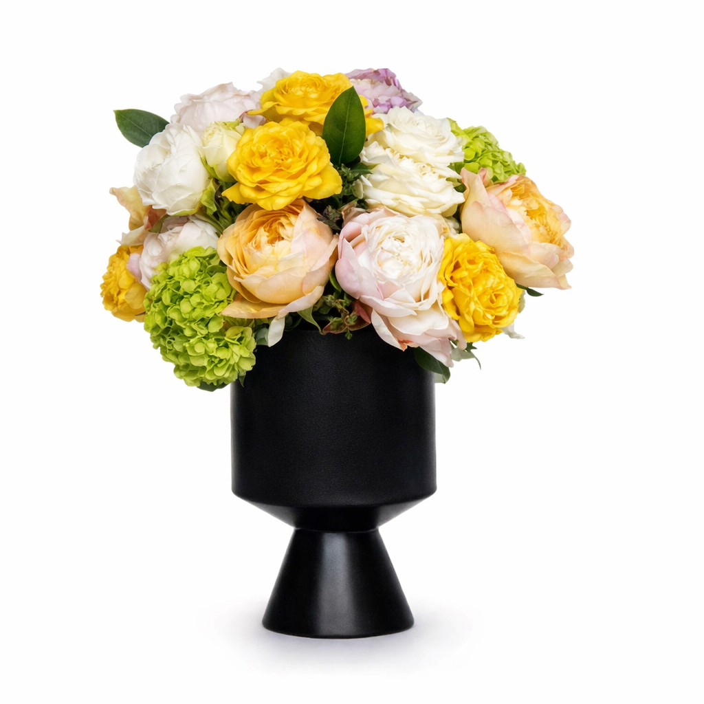 Seasonal Designer Choice