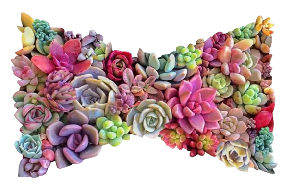 FONTAINEBLEAU LAS VEGAS FLORAL SHOP